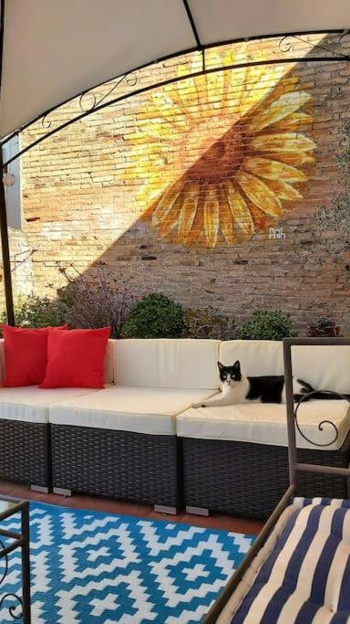 Small In Sants With Huge Terrace Privatunterkunft Barcelona