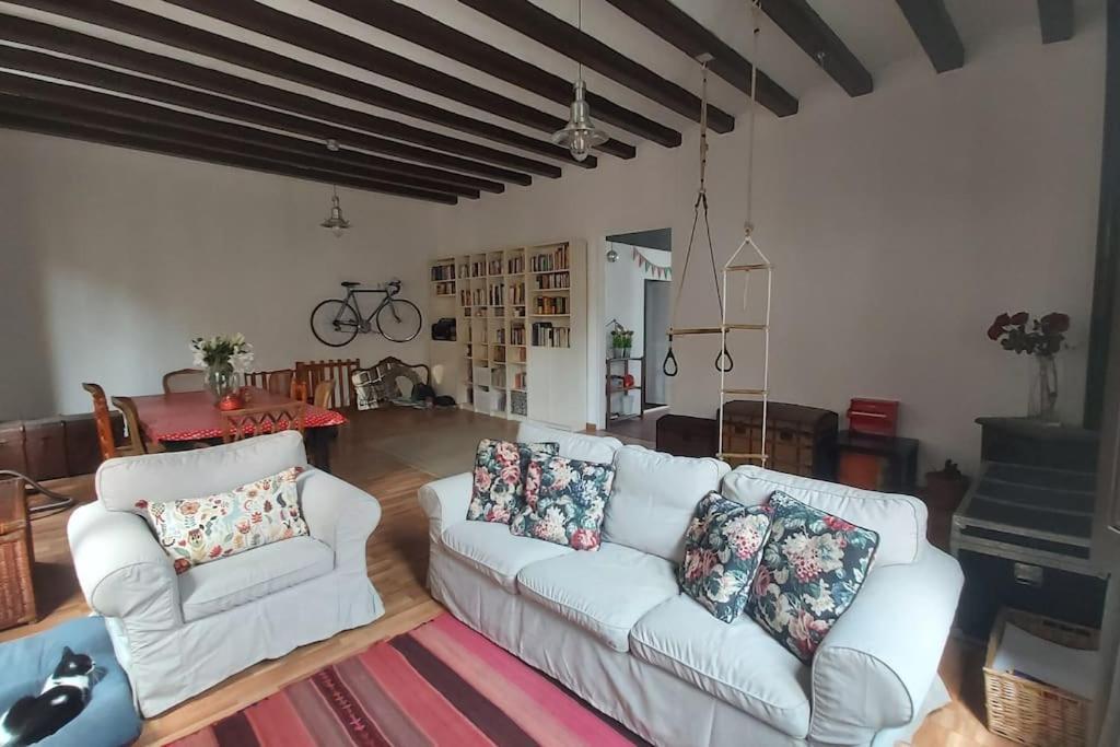 Small In Sants With Huge Terrace Privat overnatting Barcelona